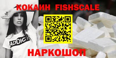 стафф Кингисепп