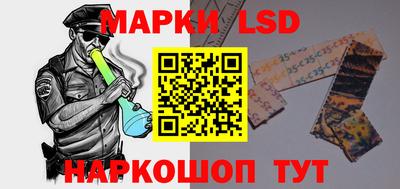 стафф Кингисепп