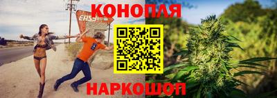 стафф Кингисепп