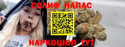 стафф Кингисепп