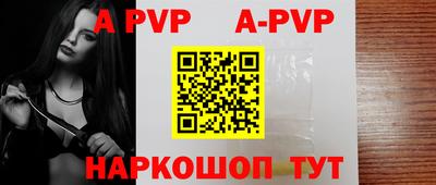 стафф Кингисепп