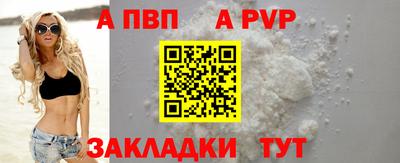 стафф Кингисепп