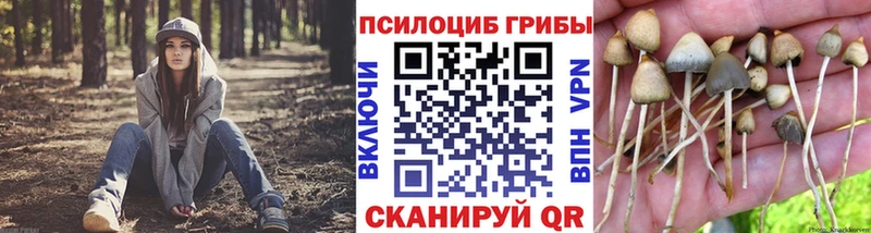 Галлюциногенные грибы Psilocybine cubensis  как найти   Новороссийск 