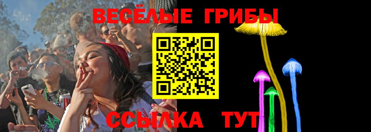 Новороссийск  Галлюциногенные грибы мицелий  Вход с VPN 