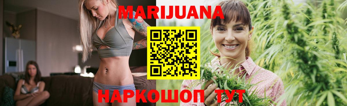 Шишки марихуана сатива  Вход с VPN  Новороссийск  Канабис планчик 